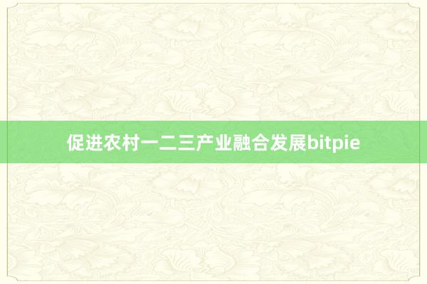 促进农村一二三产业融合发展bitpie