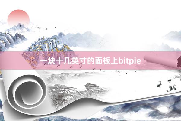 一块十几英寸的面板上bitpie