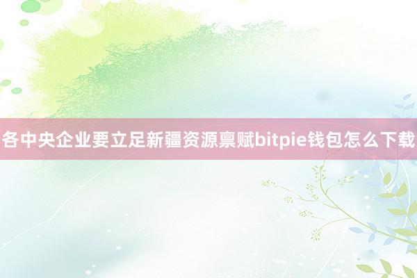 各中央企业要立足新疆资源禀赋bitpie钱包怎么下载