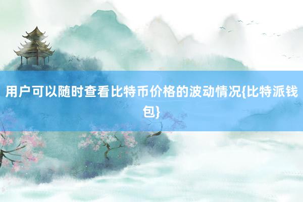 用户可以随时查看比特币价格的波动情况{比特派钱包}