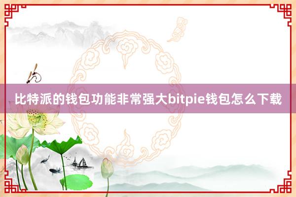 比特派的钱包功能非常强大bitpie钱包怎么下载