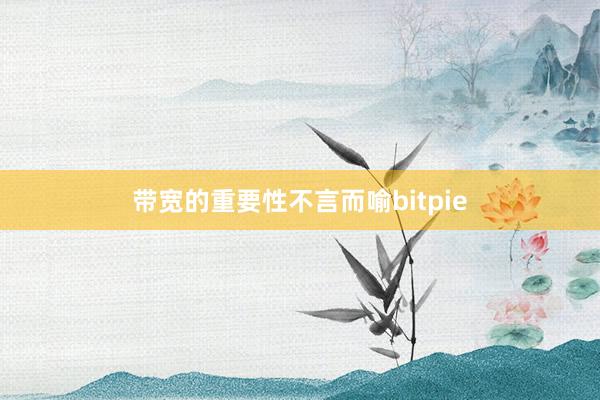 带宽的重要性不言而喻bitpie