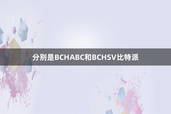 分别是BCHABC和BCHSV比特派