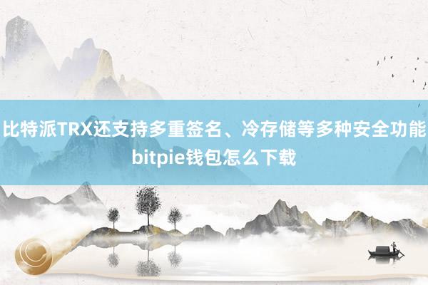 比特派TRX还支持多重签名、冷存储等多种安全功能bitpie钱包怎么下载