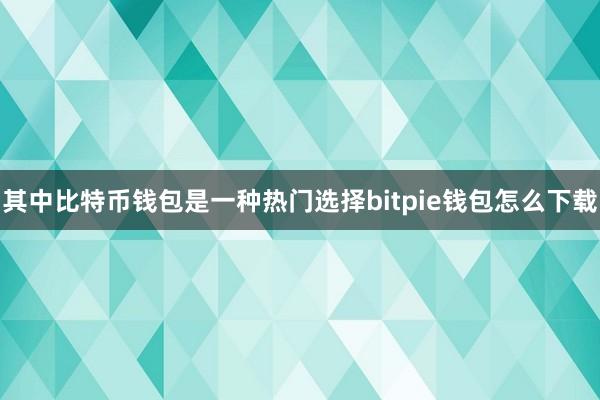 其中比特币钱包是一种热门选择bitpie钱包怎么下载