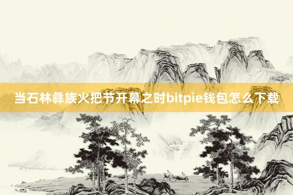 当石林彝族火把节开幕之时bitpie钱包怎么下载