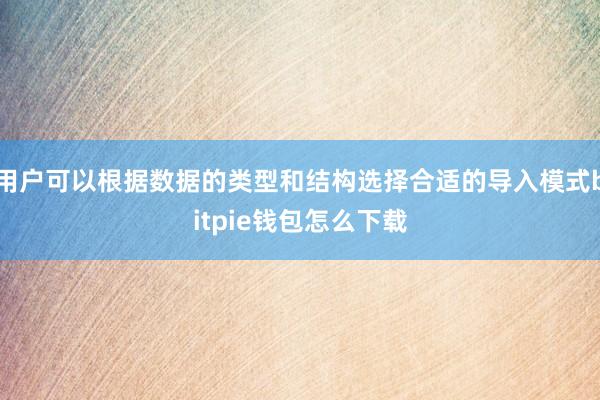 用户可以根据数据的类型和结构选择合适的导入模式bitpie钱包怎么下载