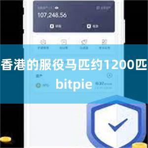 香港的服役马匹约1200匹bitpie