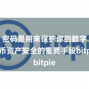 密码是用来保护你的数字货币资产安全的重要手段bitpie