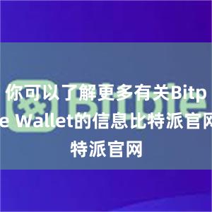 你可以了解更多有关Bitpie Wallet的信息比特派官网