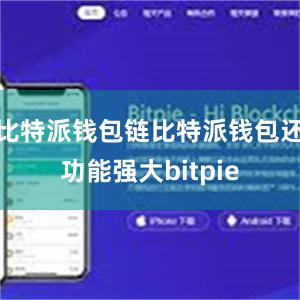 比特派钱包链比特派钱包还功能强大bitpie