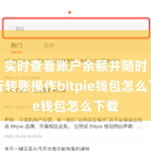 实时查看账户余额并随时进行转账操作bitpie钱包怎么下载